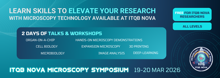 Flyer IMS ITQB NOVA DIGITAL LINKEDIN.png