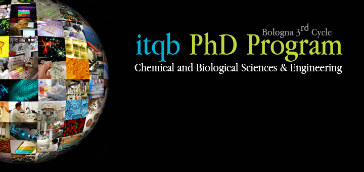 PhD09 Banner