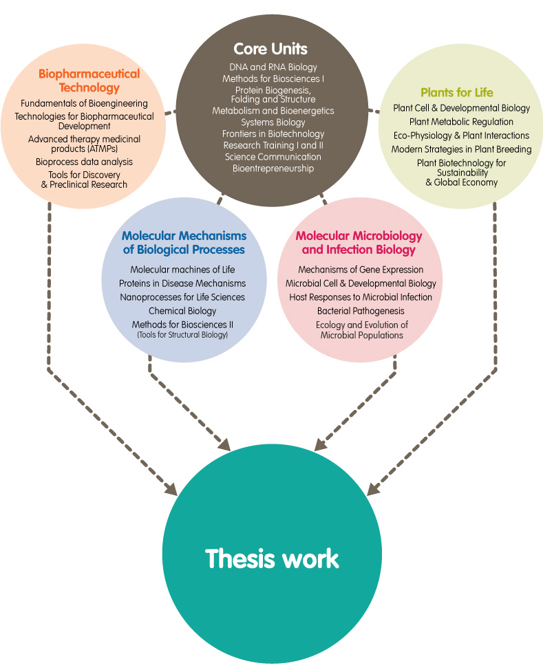 What Is The Structure Of A Phd Thesis Thesis Structure UNSW Current 