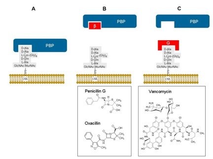 Examples of synthesis in literature
