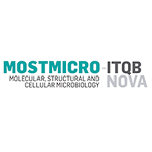 MOSTMICRO