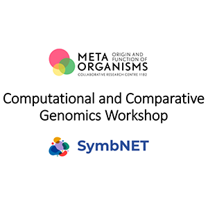 symbnet