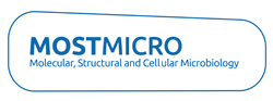 mostmicro logo 2.jpg