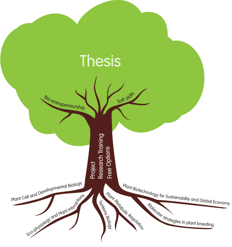 tree_course_structure.jpg