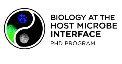 Interface PhD programme