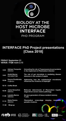 interface 2