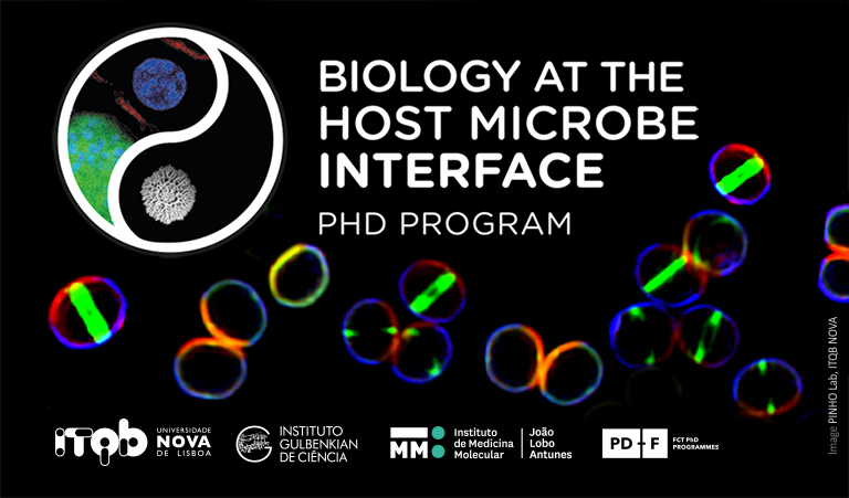 PhdMicrobe2019 webpage itqb 768x315px