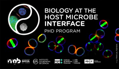 PhdMicrobe2019 webpage itqb 768x315px