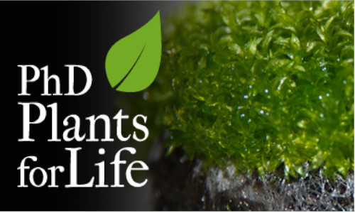 Applications open for the PhD Programme Plants for Life