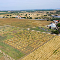 Farmers’ Day gathers researchers and stakeholders in Elvas