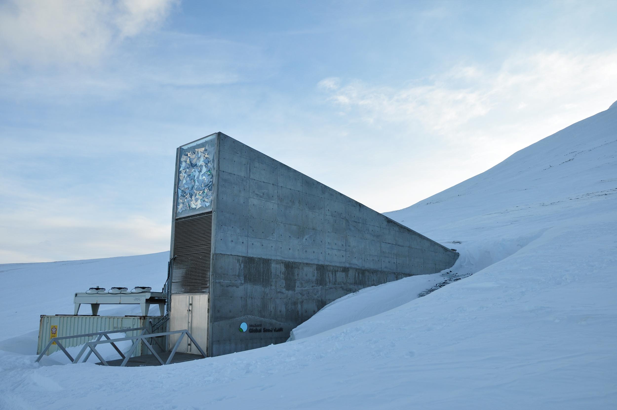 GREEN-IT member Ana Maria Barata joins the advisory board of Svalbard Global Seed Vault