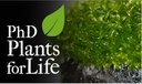 GREEN-IT scholarships available for the PhD Programme Plants for Life