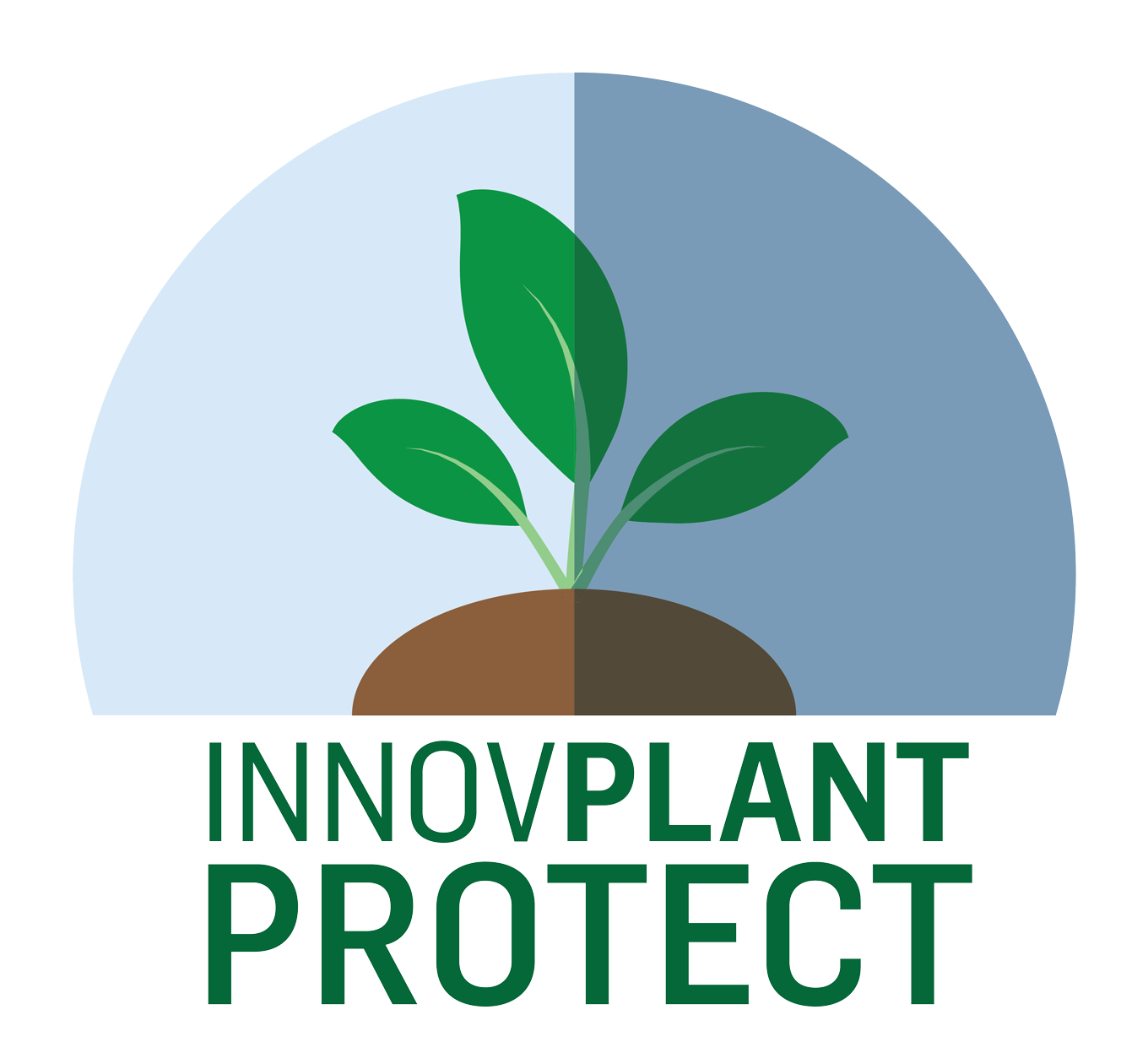 InnovPlantProtect distinguished with “Investimento que Marca” Award