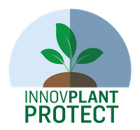 InnovPlantProtect distinguished with “Investimento que Marca” Award