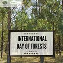 International Day of Forests 2021