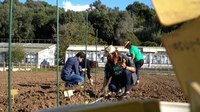 Oeiras Experimenta receives Honorable Mention in the European Union Prize for Citizen Science 