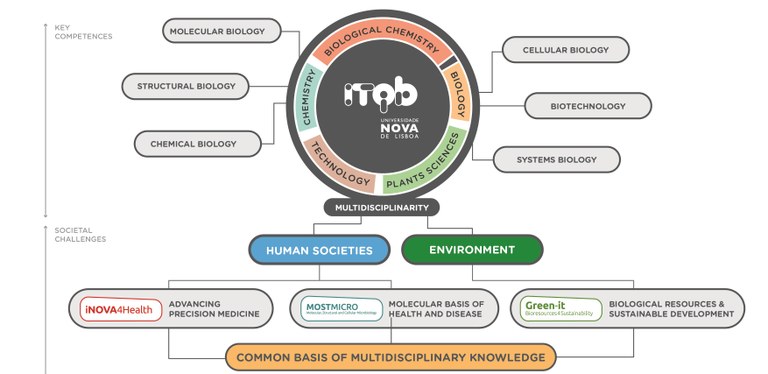 estrategia ITQB NOVA-04_crop.jpg