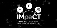 IMpaCT Team wishes you a Happy Holiday Season and a great 2023