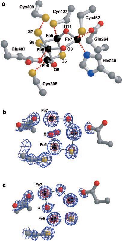 hcp2