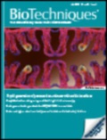 biotechniques_cover.jpg