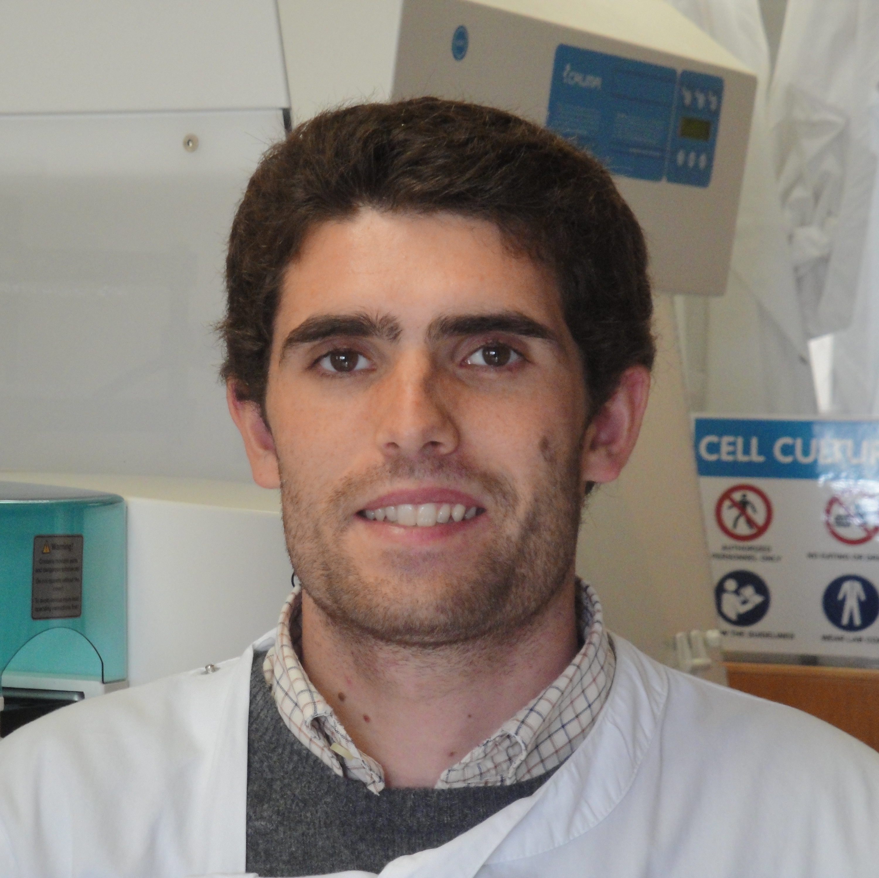 Afonso Ruiz