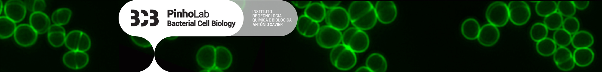 5_header_logo_bcb.jpg