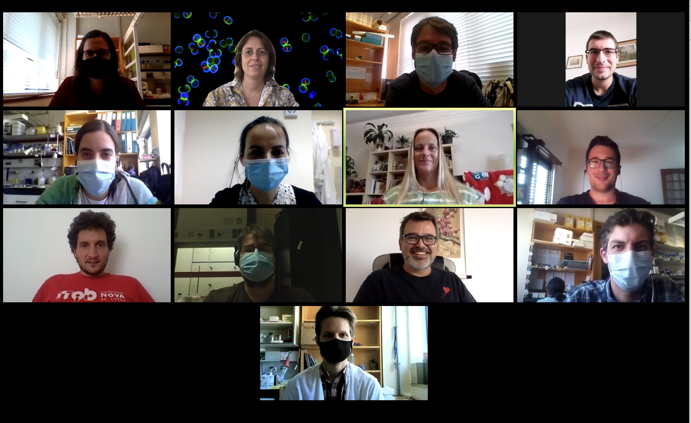 Screenshot 2020 09 21 for website