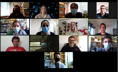 Screenshot 2020 09 21 for website