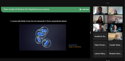 Screenshot 2022 05 04 at 11.04.12