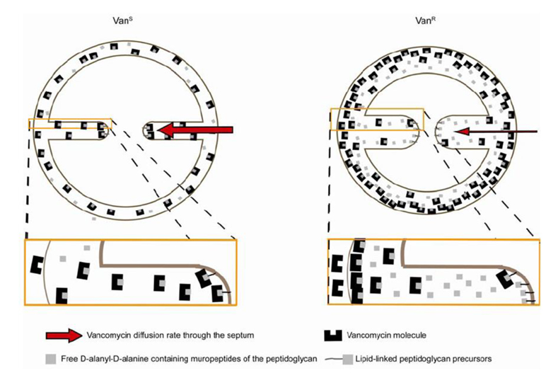Research highlights Fig 13