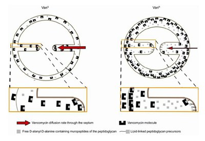 Research highlights Fig 13