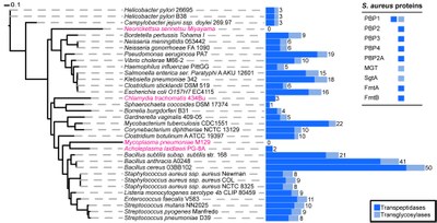 Research Highlights Fig 5