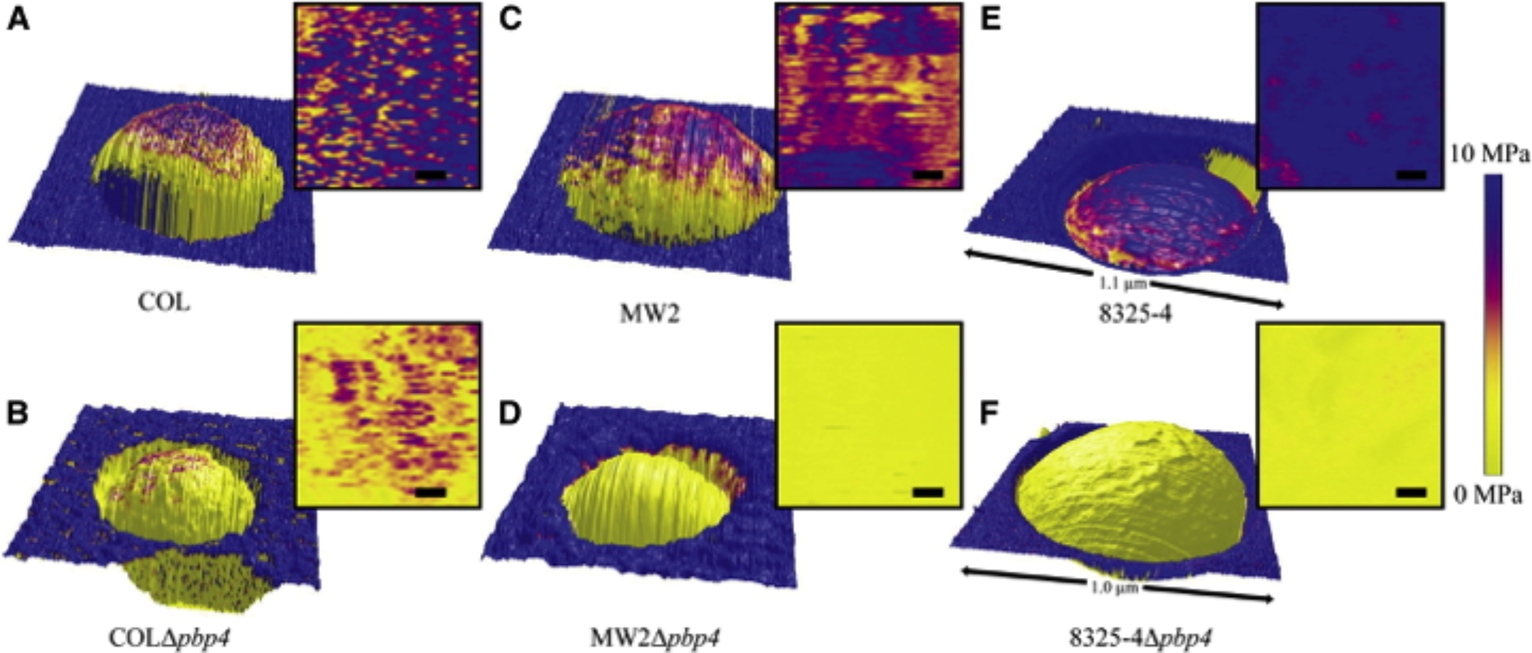 Research Highlights Fig 7