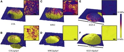 Research Highlights Fig 7