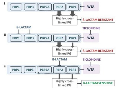 Research Highlights Fig 8