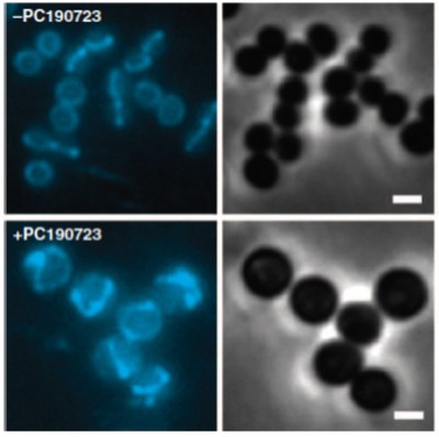 Research Highlights Fig 9