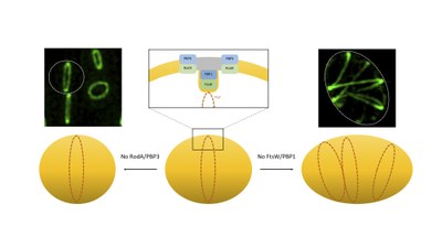 Reserch Highlights Fig 15 SEDS Final