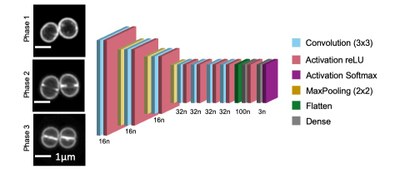 Reserch Highlights Fig 17 eHooke
