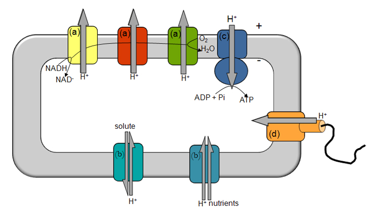 Intro - Figure 1