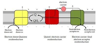 Intro - Figure 2