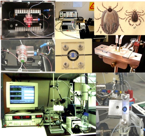 Biosen_collage.jpg