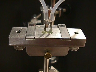 CPG_flowcell02.jpg