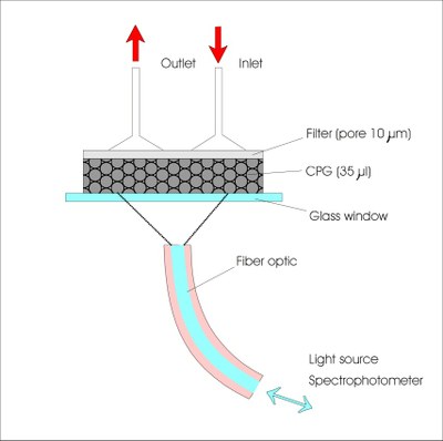 cpg_refl_cell.JPG