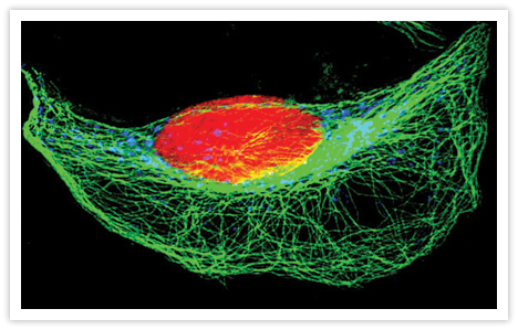 QDots image 1.jpg