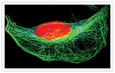 QDots image 1.jpg