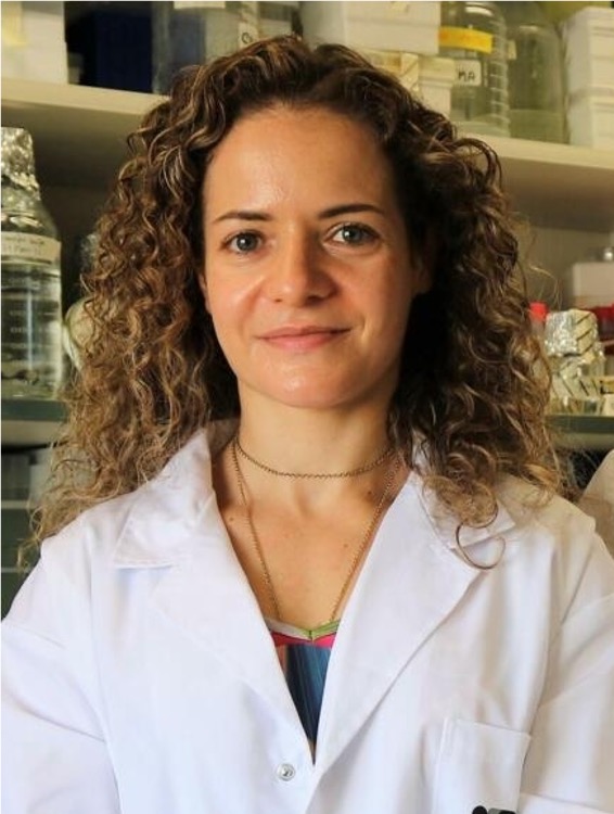 Margarida