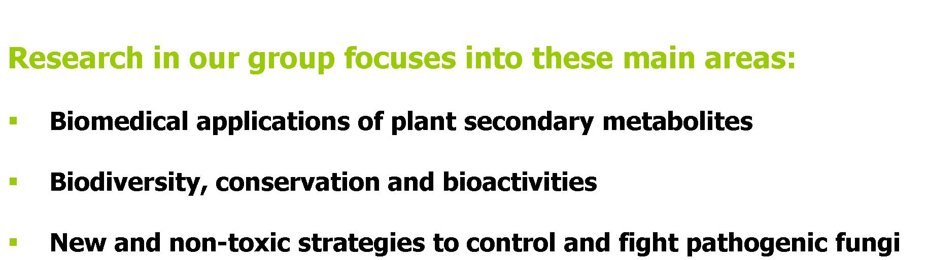 Research focuses areas.jpg
