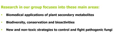 Research focuses areas.jpg
