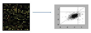 transcriptomics.jpg