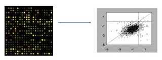 transcriptomics.jpg